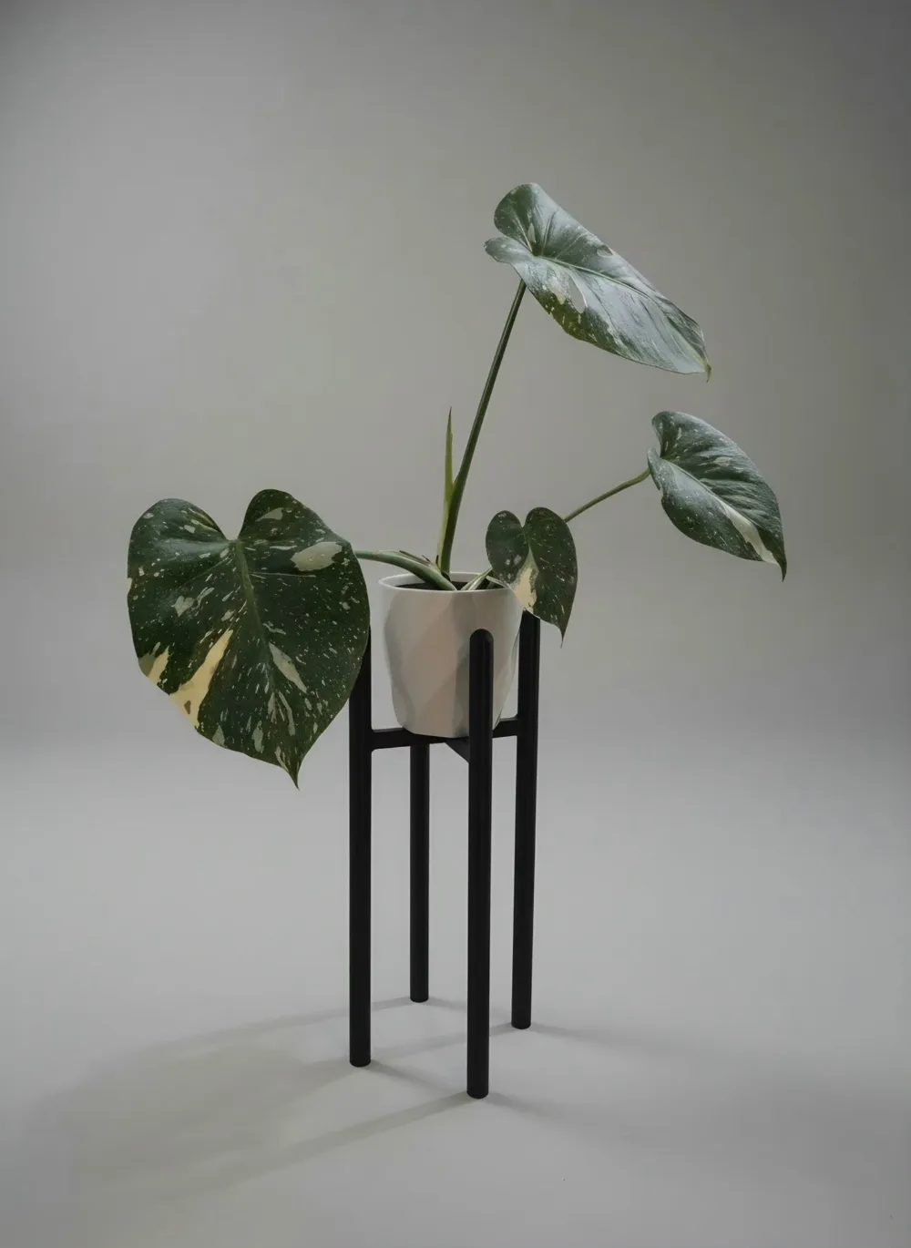 30cm High Plant Stand, photo 2 of 4 - 30cm High Plant Stand Household