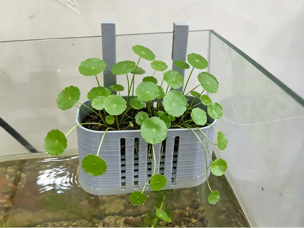 40-cylinder hydroponics