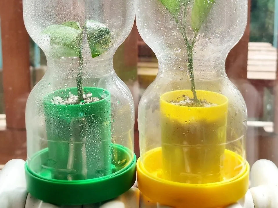 88mm bottle propagator
