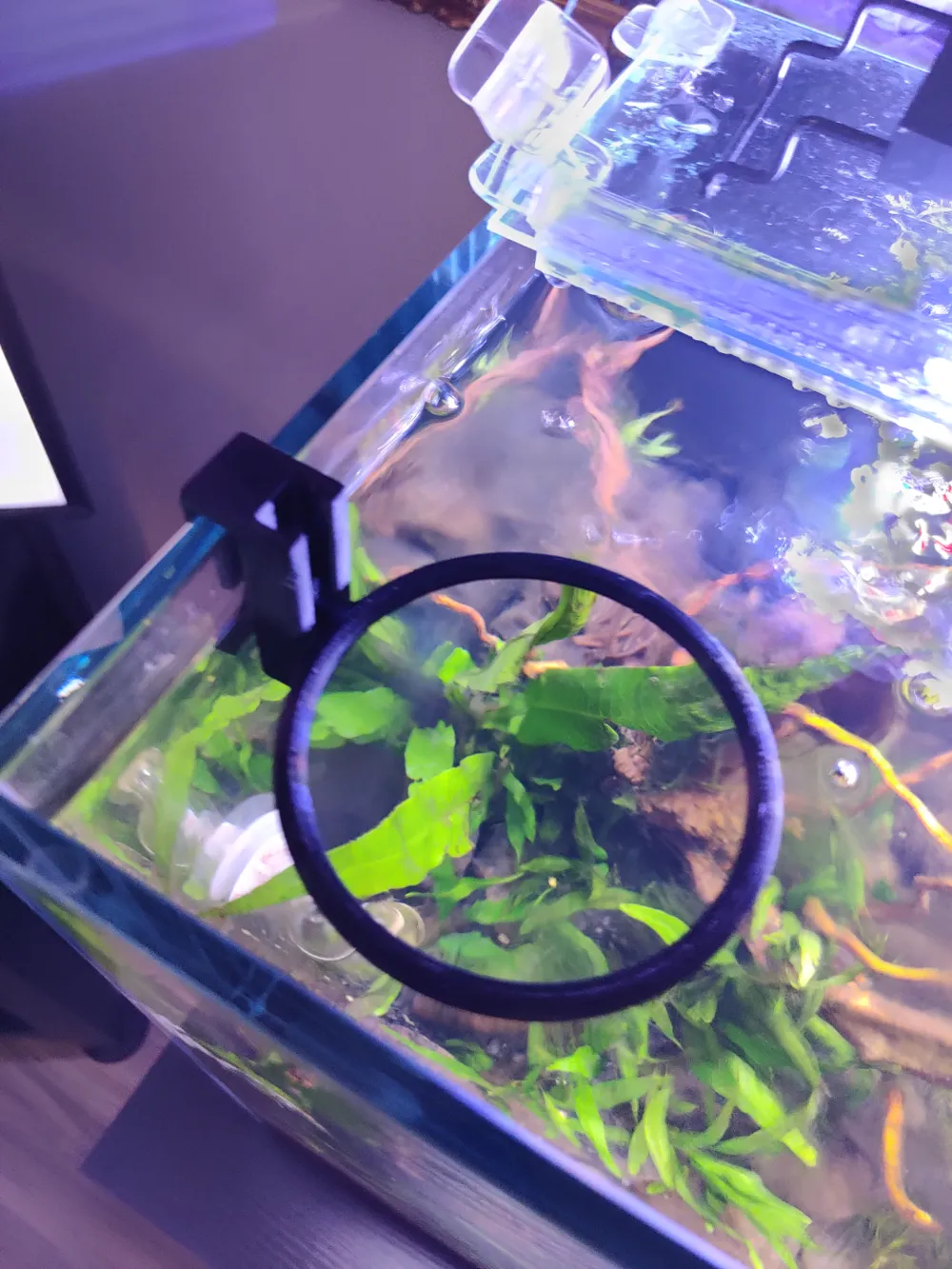 8mm Aquarium Feeder Ring