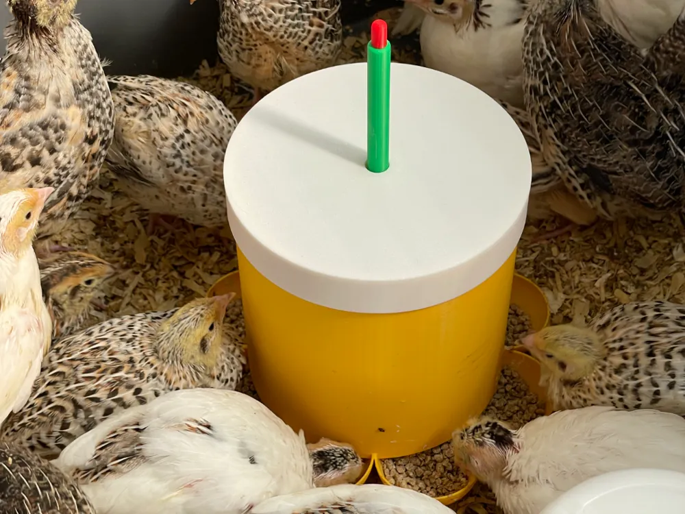 8 station Quail Chick or chicken feeder