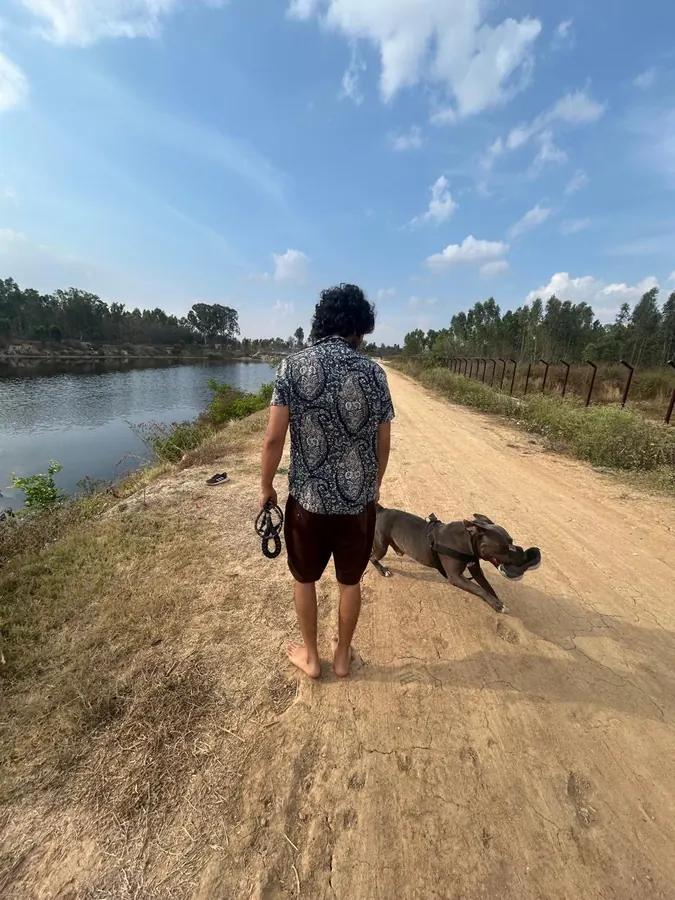 The evening walk