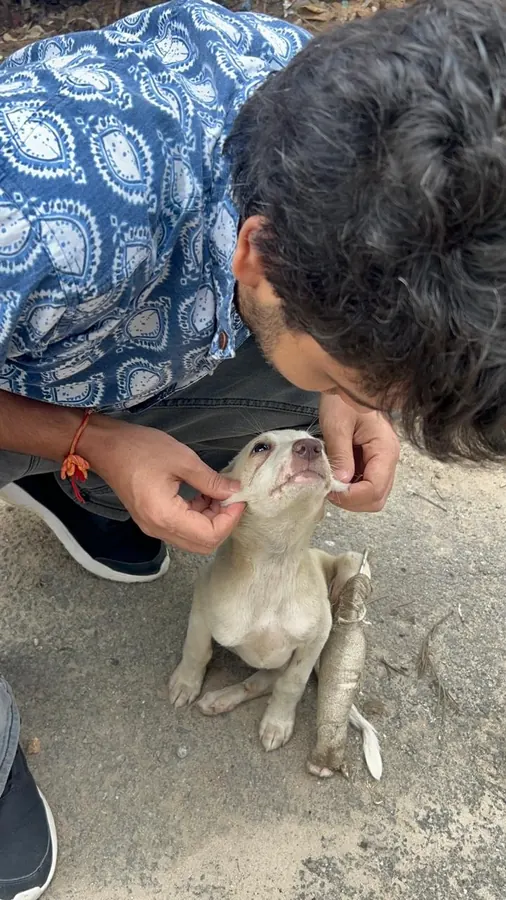 A new friend