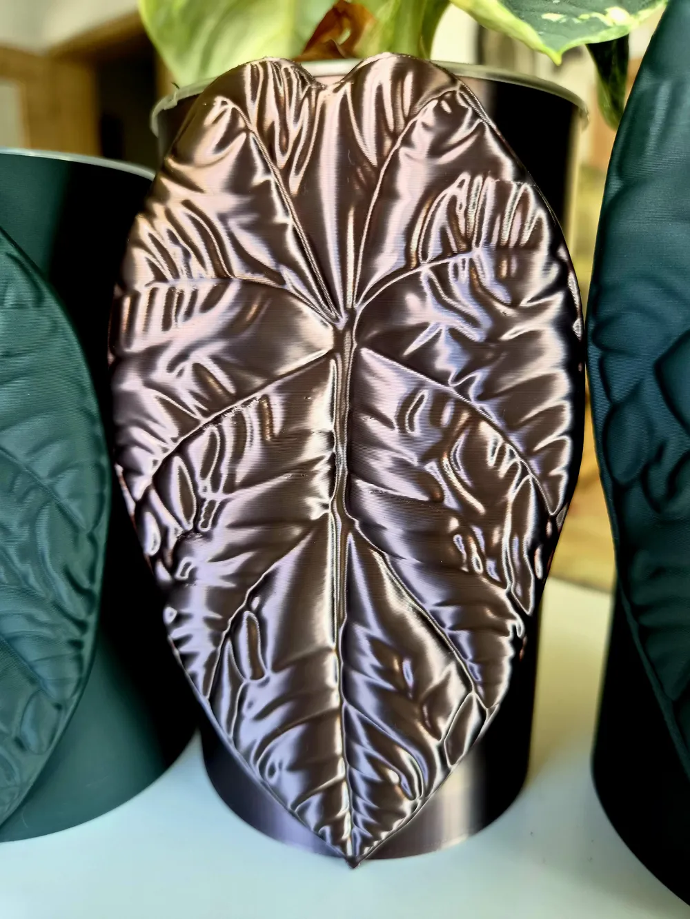 Alocasia Melo self watering planter, photo 2 of 5 - Self-watering Planters, pot