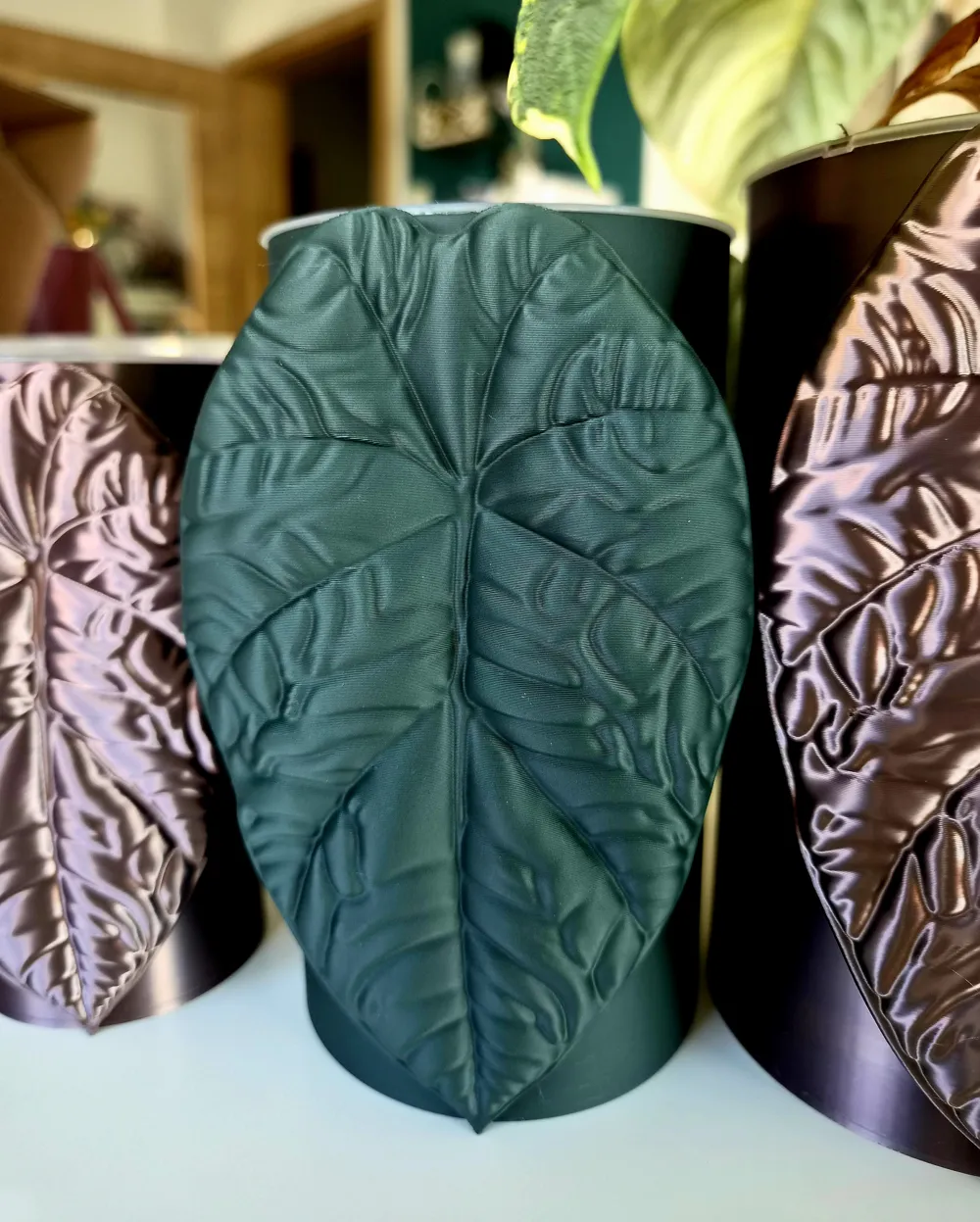 Alocasia Melo self watering planter, photo 3 of 5 - Self-watering Planters, vase