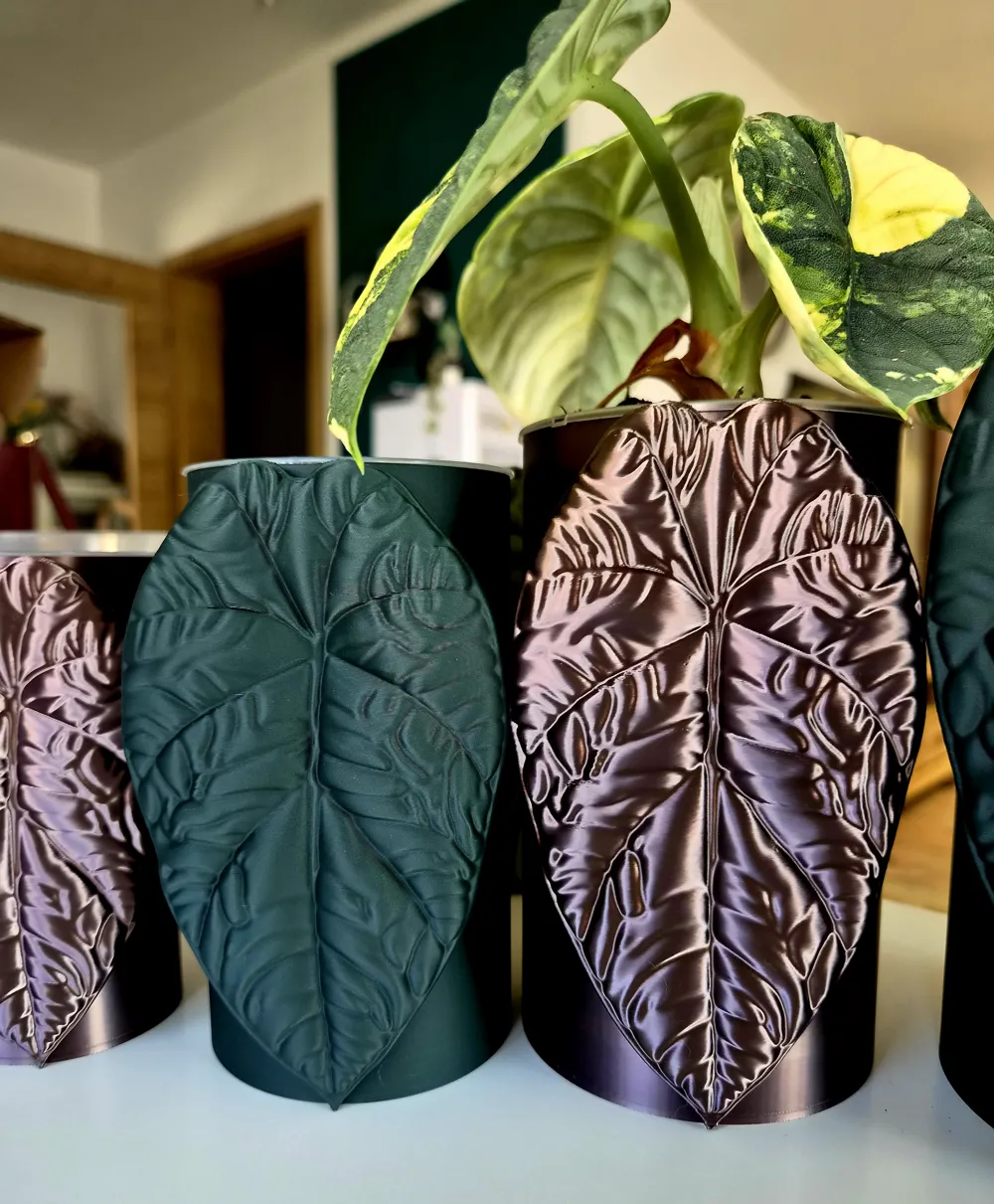 Alocasia Melo self watering planter, photo 4 of 5 - Self-watering Planters, android