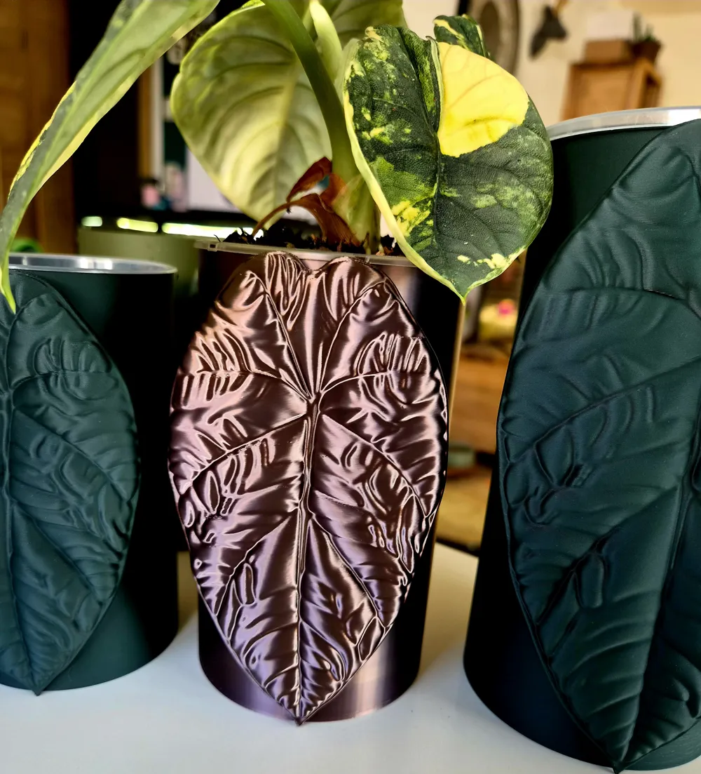 Alocasia Melo self watering planter, photo 5 of 5 - Self-watering Planters, decorative