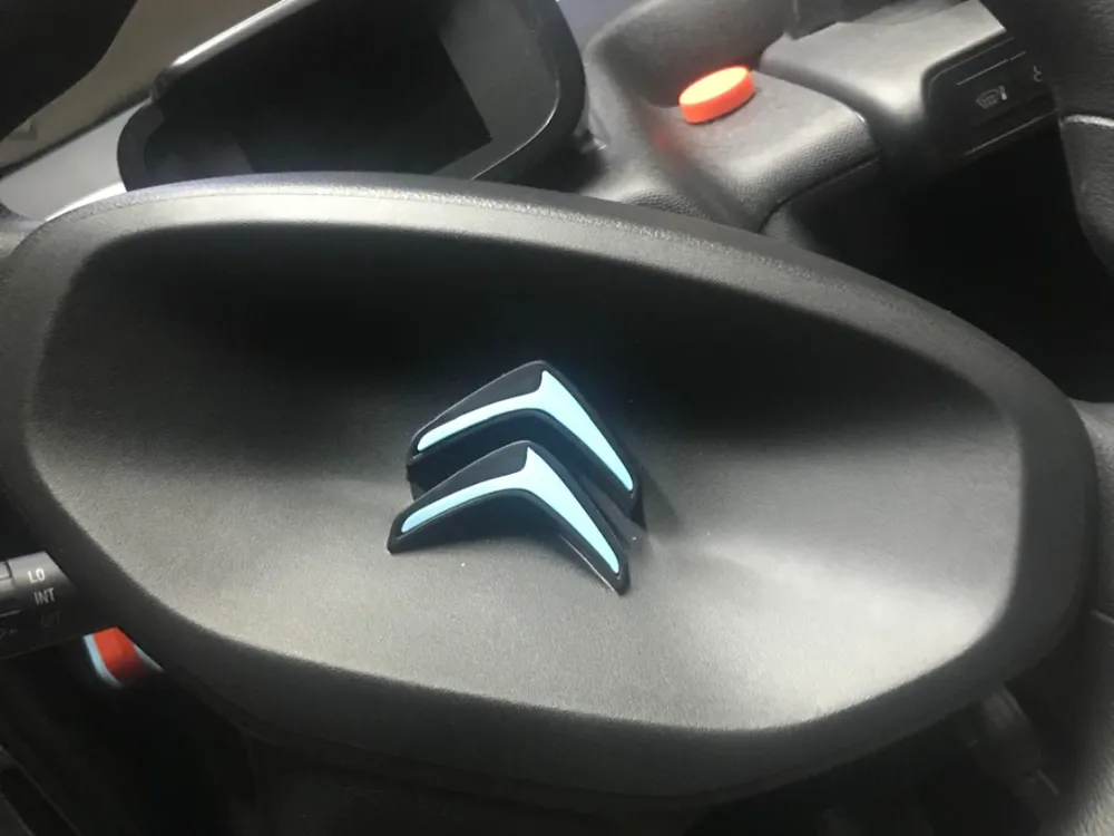 AMI CITROEN FLYING LOGO - PLA GLOW