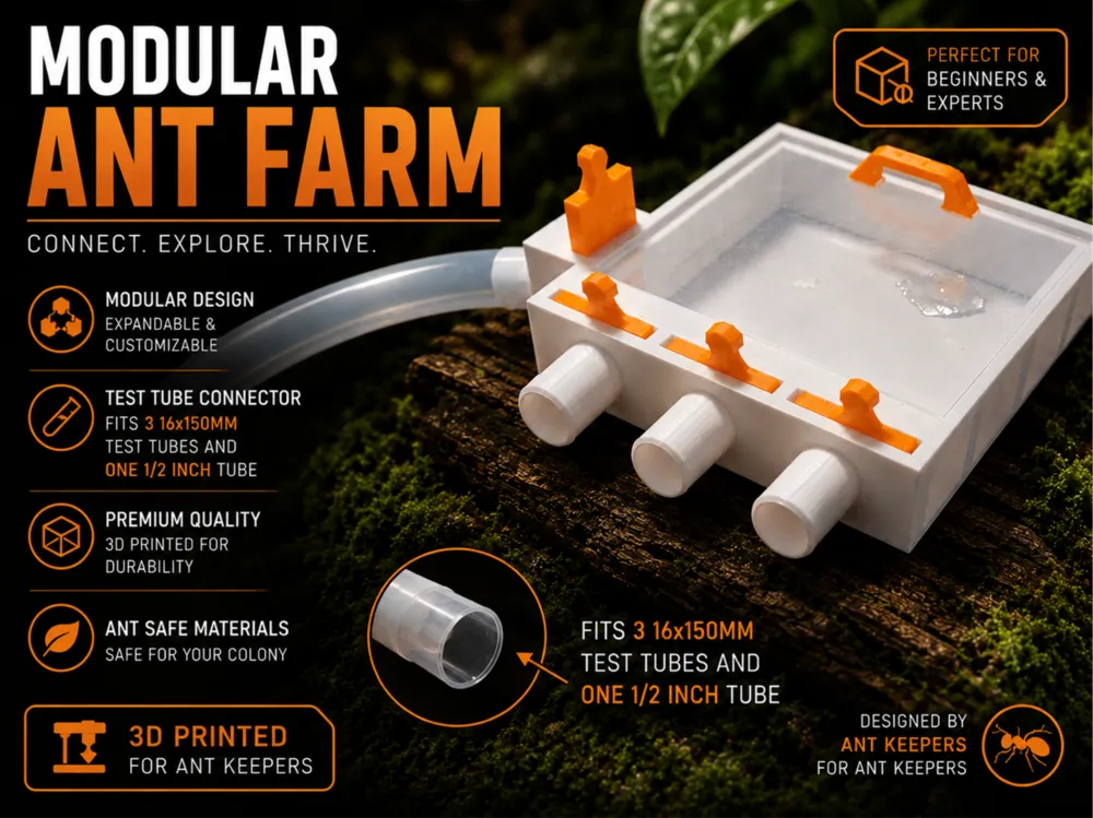 Ant Formicarium - Pets, in stock in India