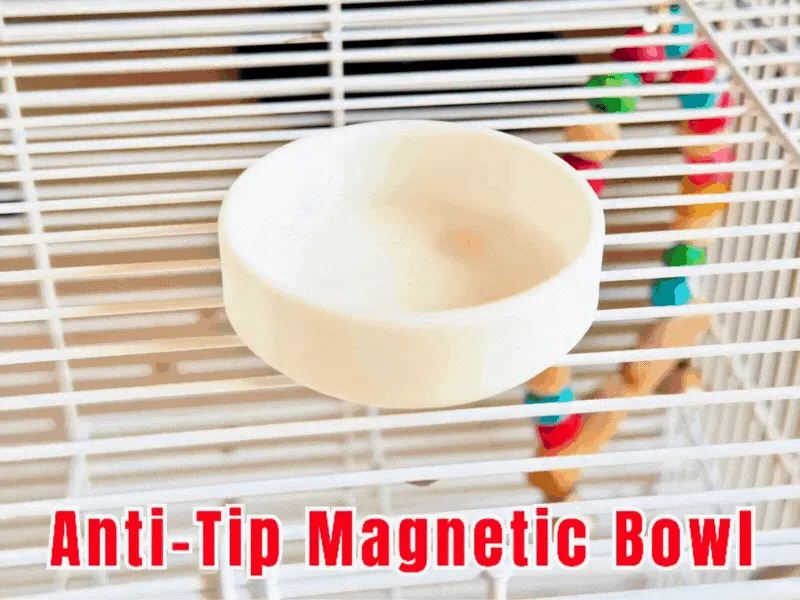 Anti-Tip Bowl for Small Pets - Small Pet Bowls & Feeders, in stock