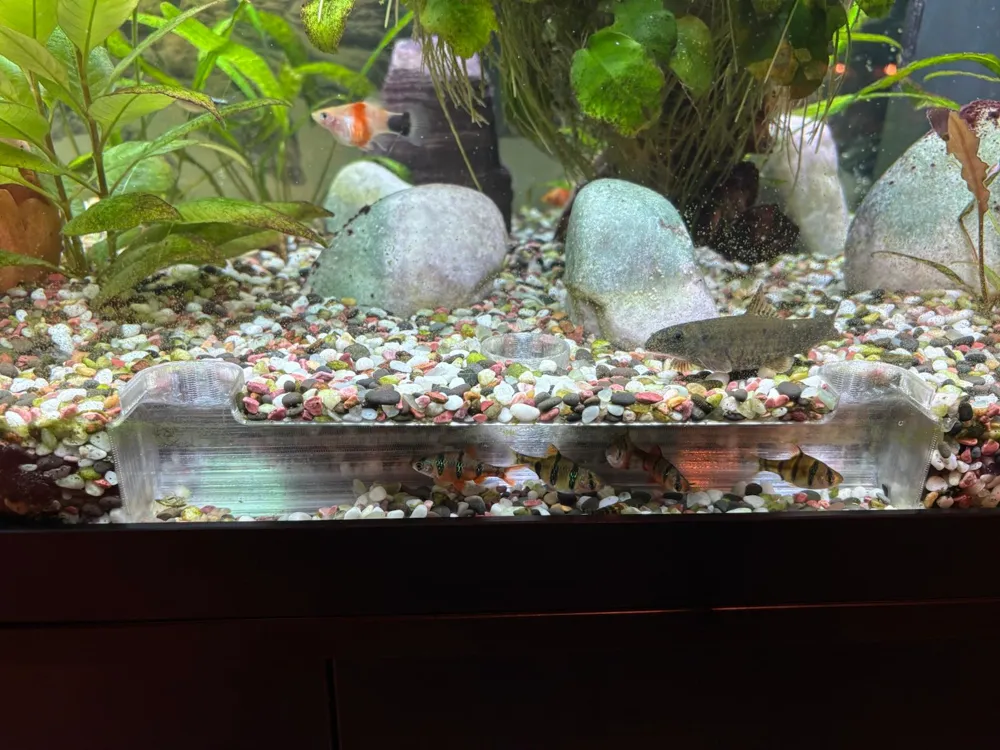 Aquarium Cave, photo 4 of 4 - Aquarium Decor, Caves & Hides, fish