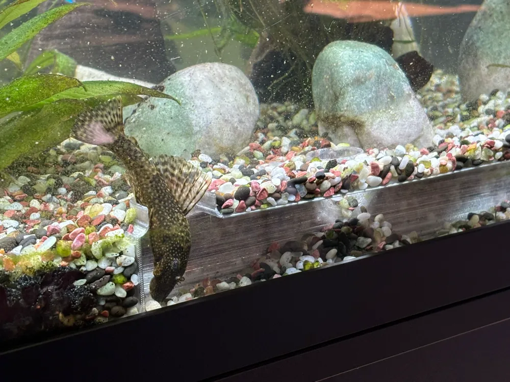 Aquarium Cave