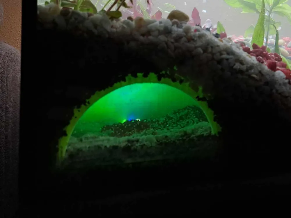 Aquarium fish cave