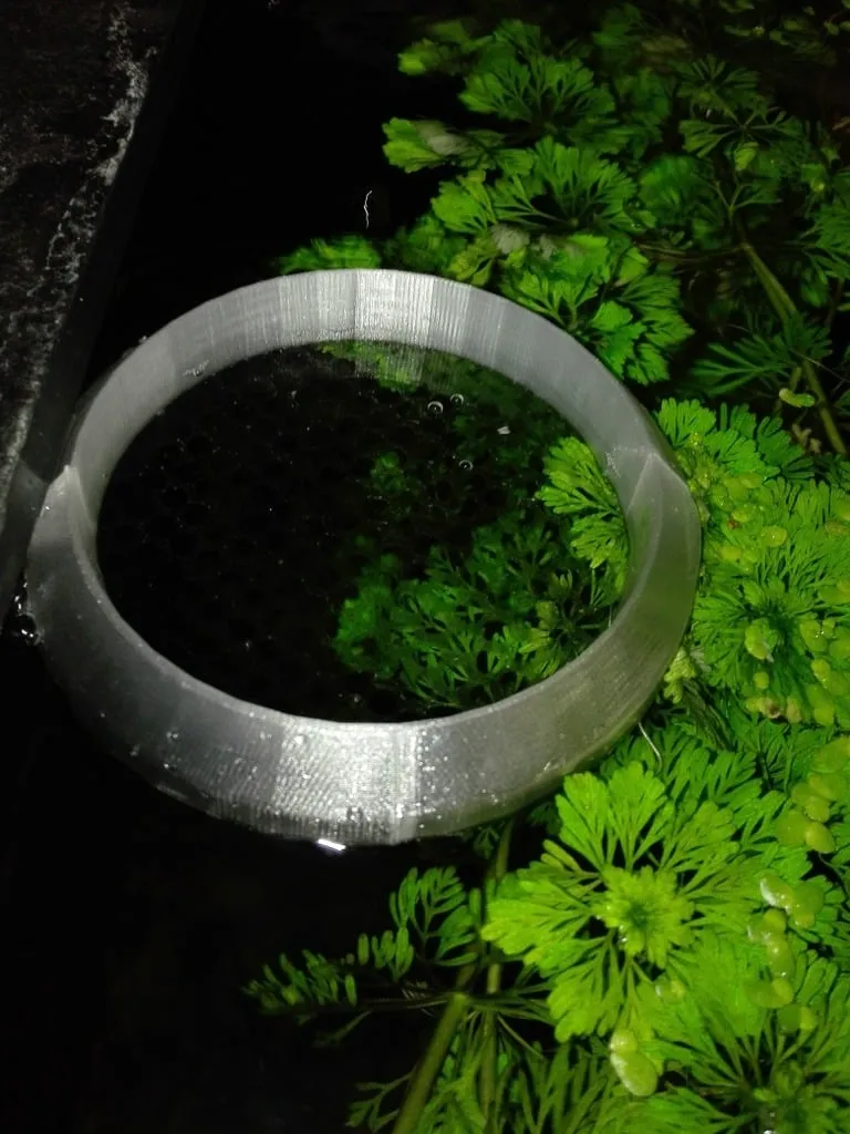 Aquarium - Fish floating feeder