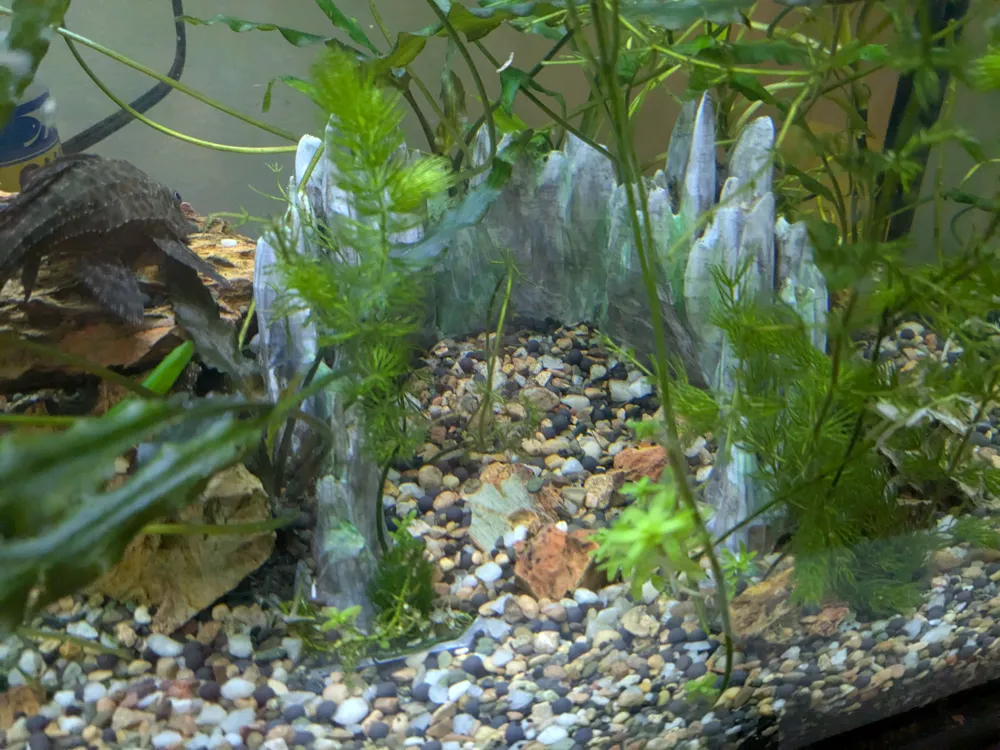 Aquarium Jagged Rocks Decor, photo 3 of 4 - Aquarium Jagged Rocks Decor Pets