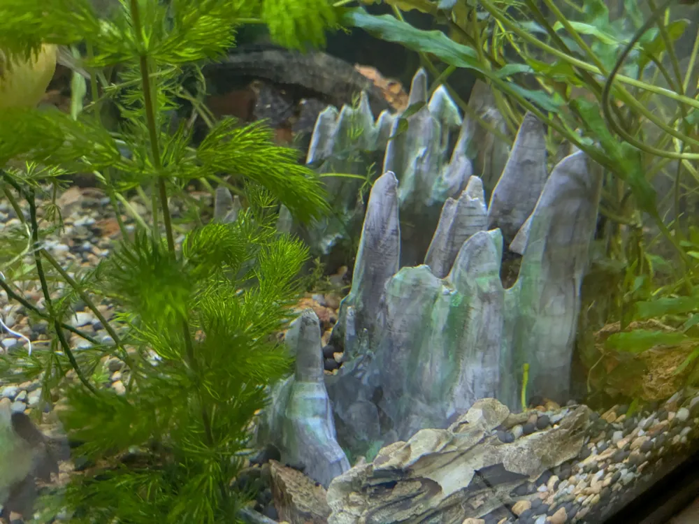 Aquarium Jagged Rocks Decor, photo 4 of 4 - Aquarium Jagged Rocks Decor Pets