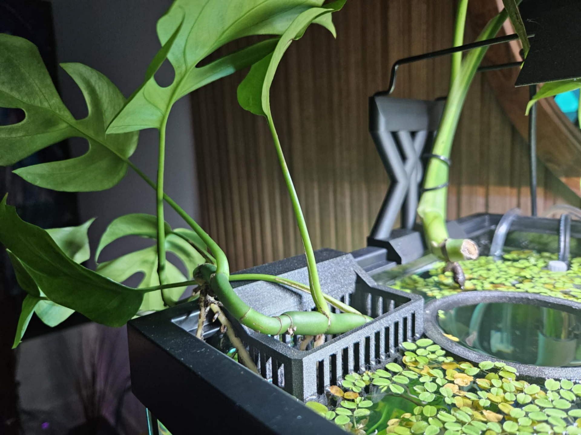 Aquarium Plant Basket