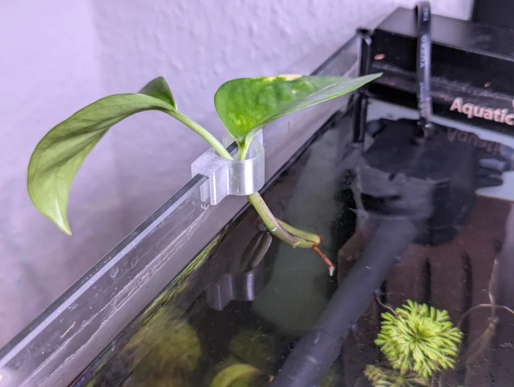 Aquarium Plant Clip (5mm), photo 3 of 4 - Aquarium Plant Clip (5mm) Pets