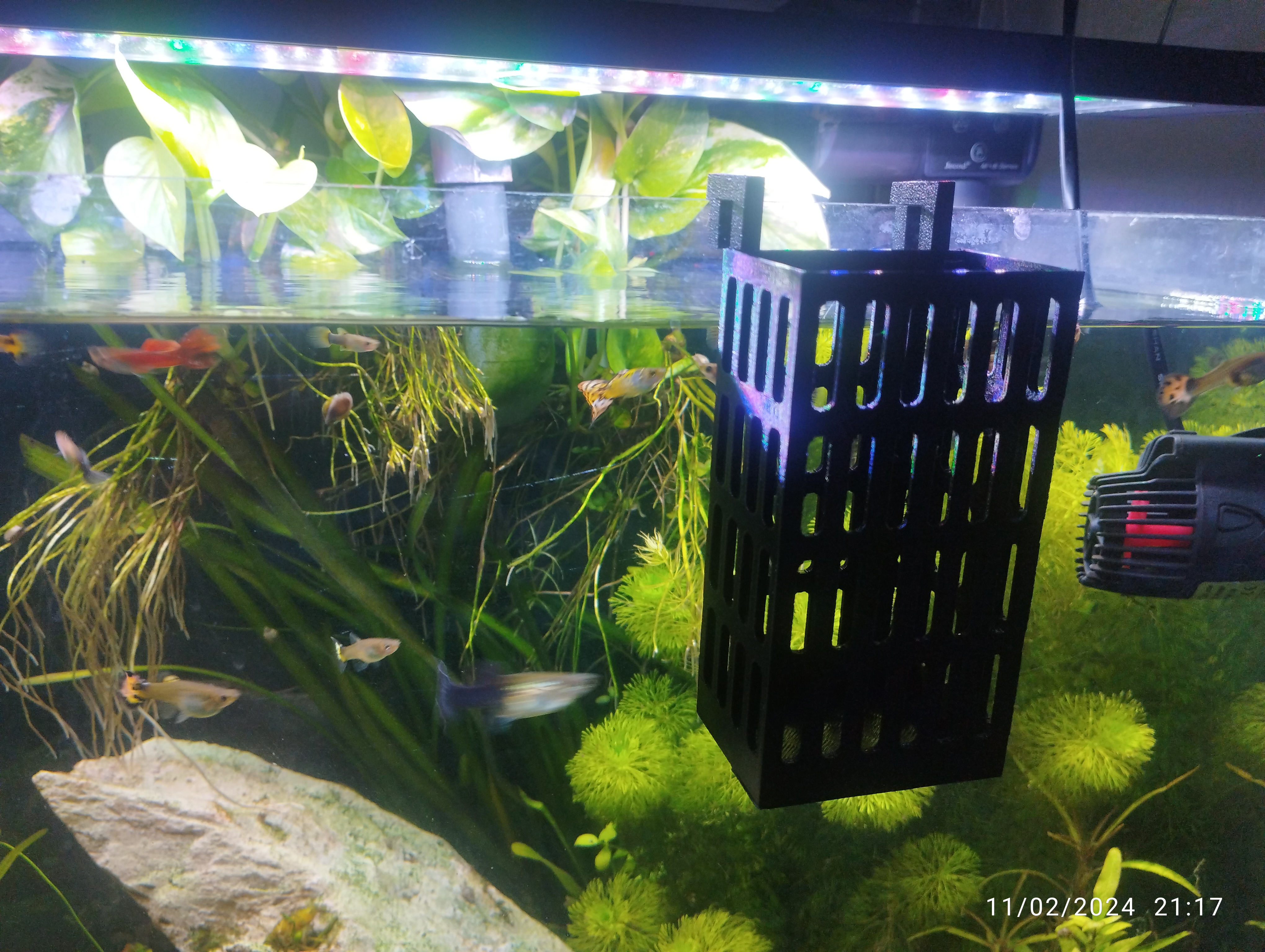 Aquarium plants, photo 2 of 4 - Aquarium Decor, Caves & Hides, Pets