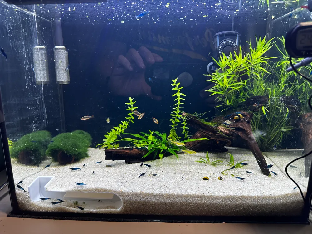Aquarium shrimp cave
