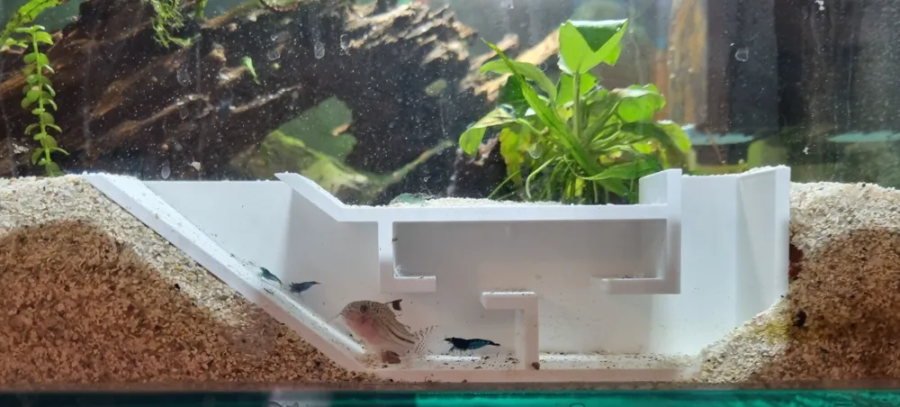 Aquarium Shrimp Tunnel, photo 3 of 4 - Aquarium Shrimp Tunnel Pets