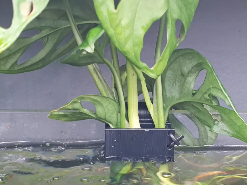 Aquaruim Plant Holder