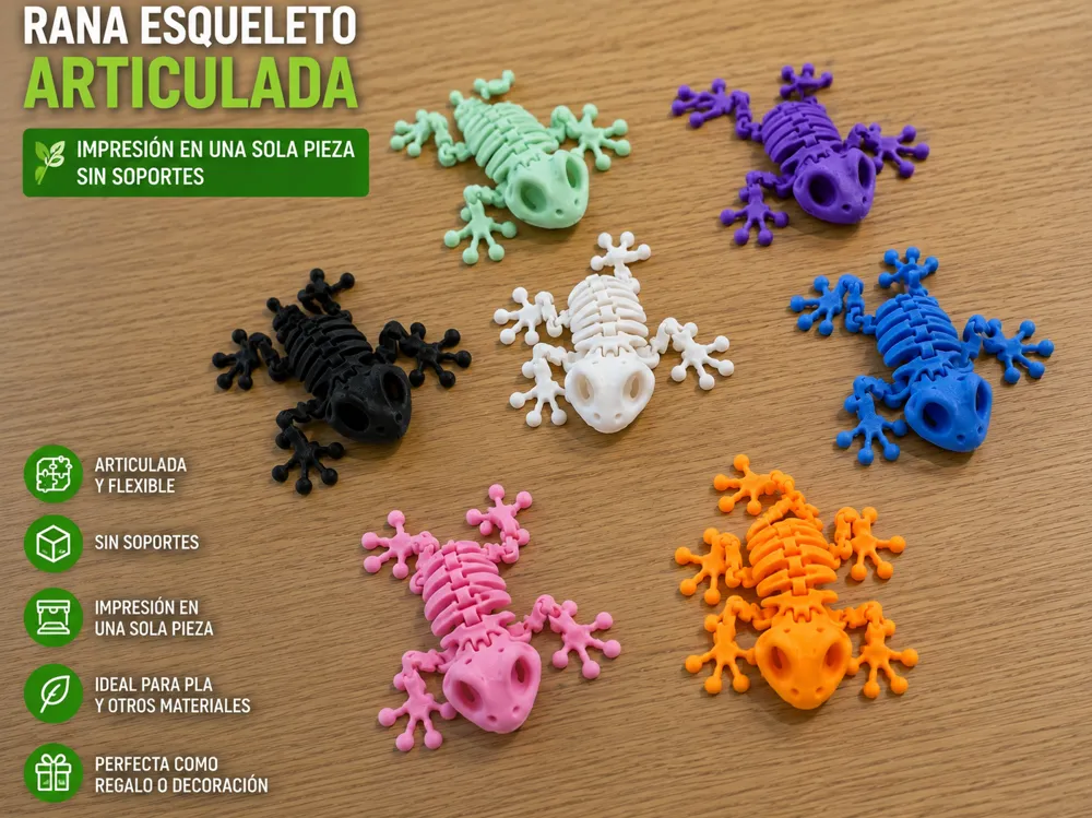 Articulated Skeleton FROG - Articulated Animals, in stock