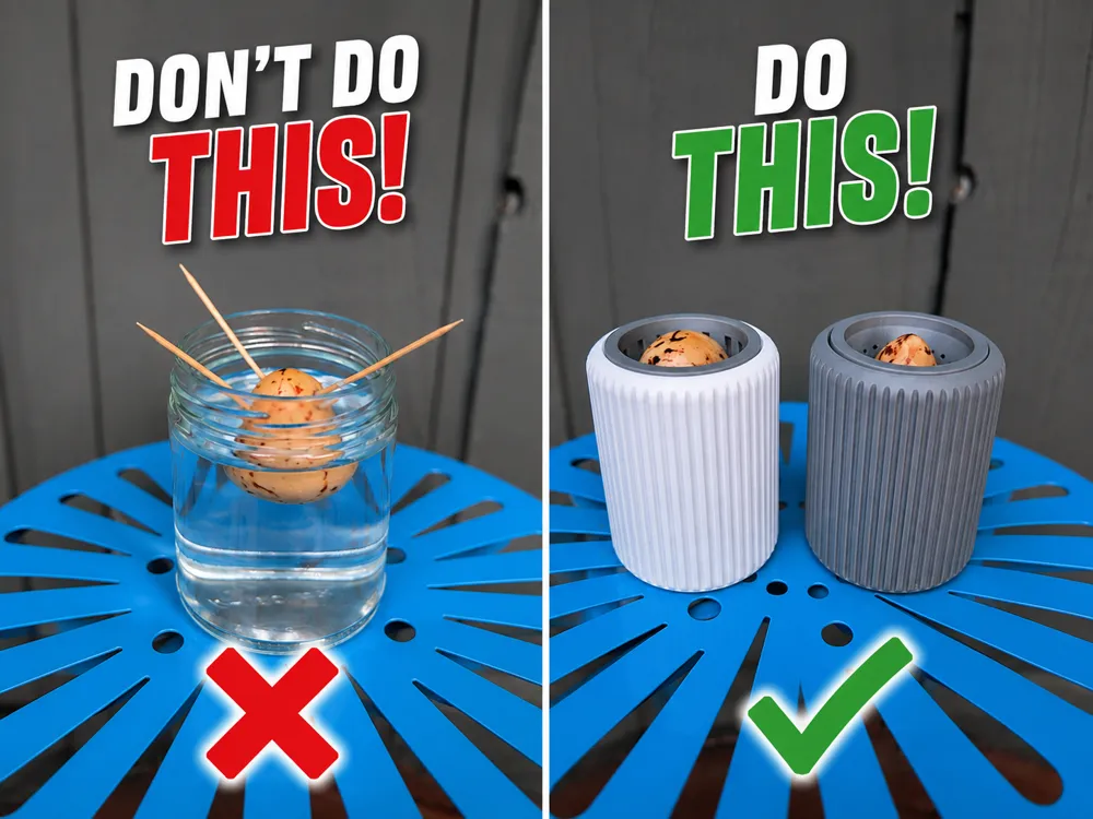 Avocado pit starter