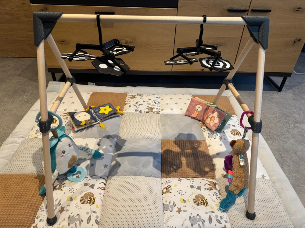 Baby Gym