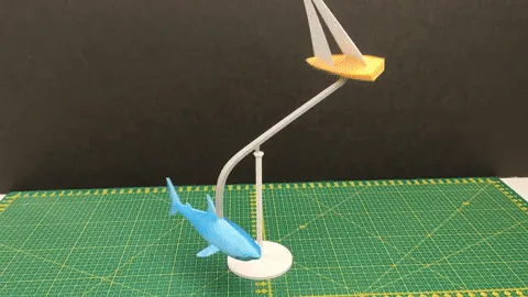 Balancing Boat and Shark