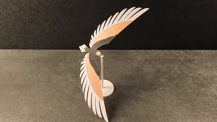 Balancing Eagle - Physics & Astronomy, in stock in India