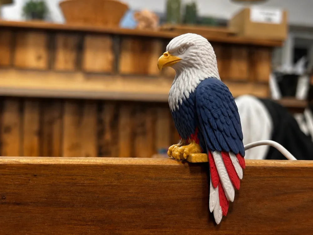 Bald Eagle Monitor Buddy, & Versions