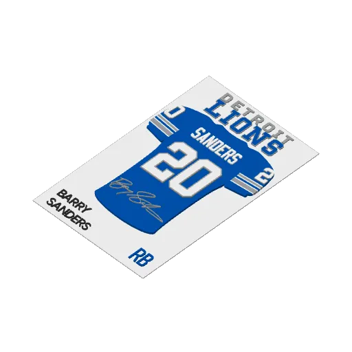 Barry Sanders Jersey Frame Lions, photo 3 of 4 - Barry Sanders Jersey Frame Lions Household