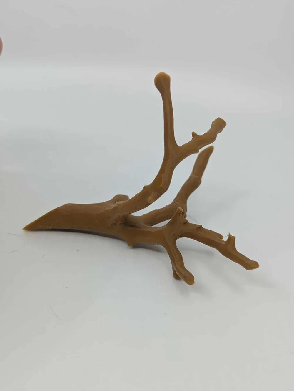 Basic stick for climbing, Reptile decor, photo 4 of 4 - Basic stick for climbing, Reptile decor Pets