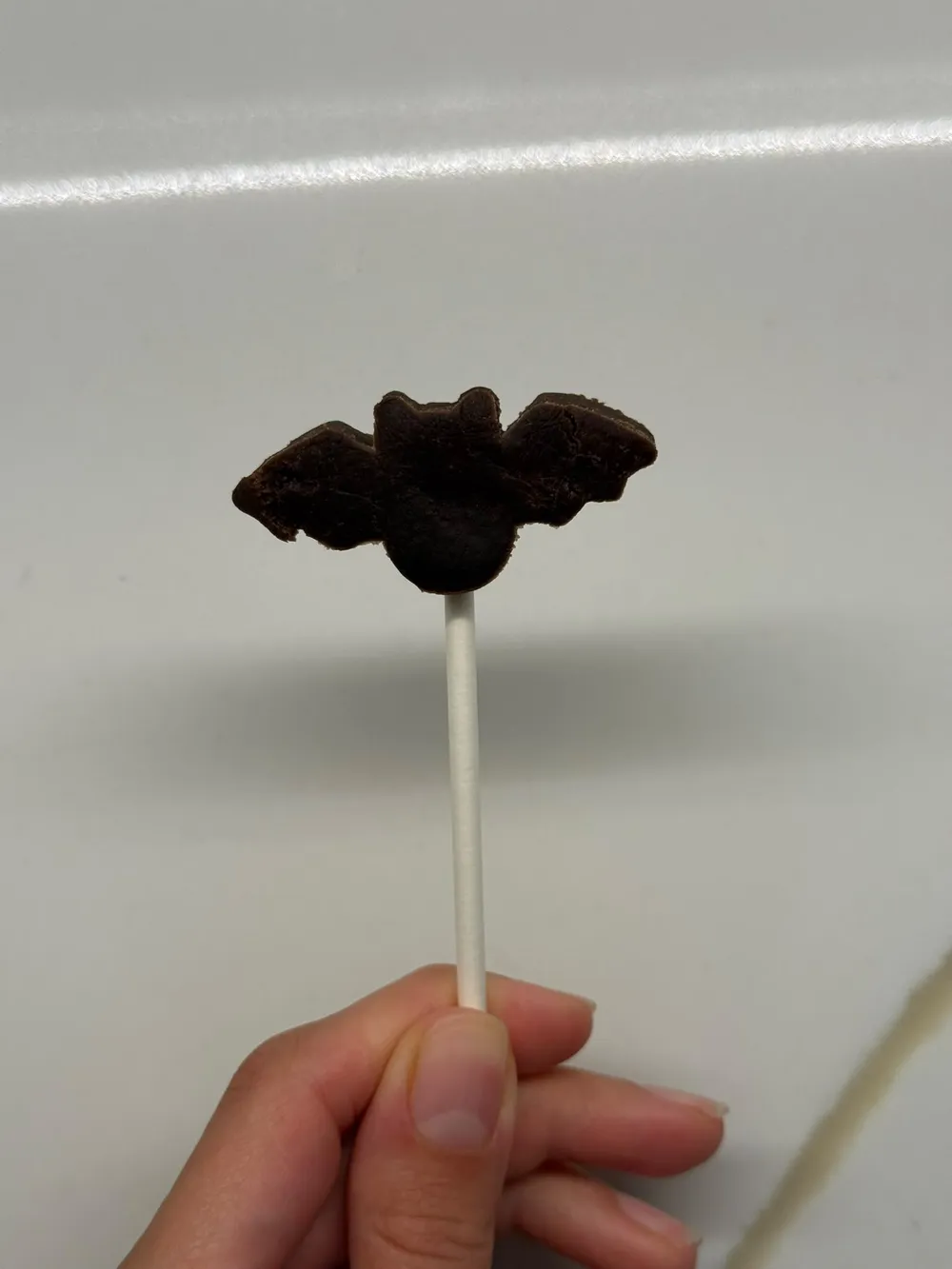 Bat Cake Pop/Cookie Cutter, photo 2 of 4 - Bat Cake Pop/Cookie Cutter Household