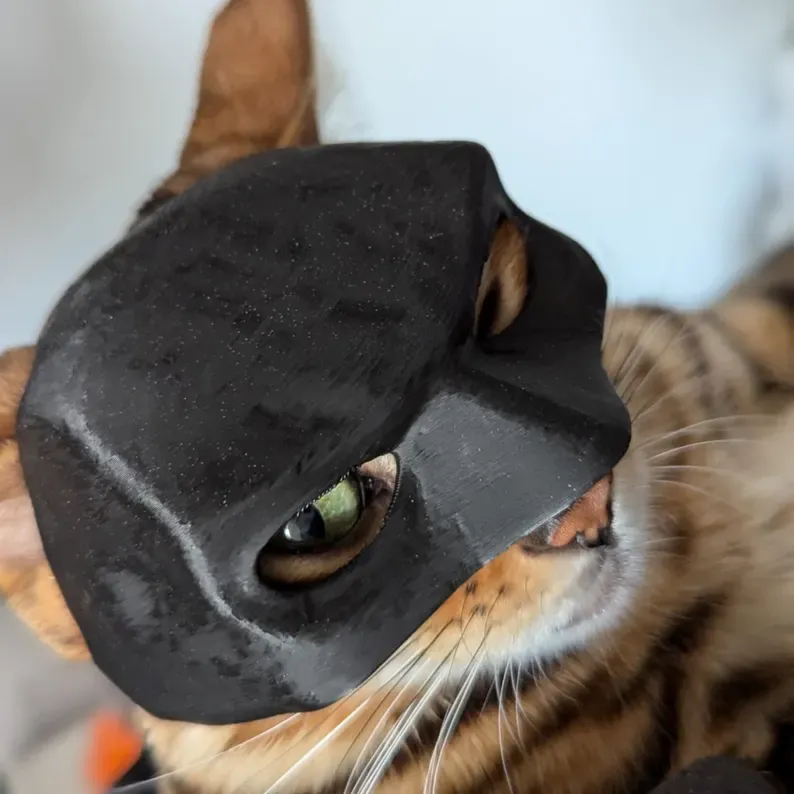 Batcat Mask / CatMan The Dark Meow Cat Bat Mask, photo 3 of 4 - Batcat Mask / CatMan The Dark Meow Cat Bat Mask Props & Cosplay