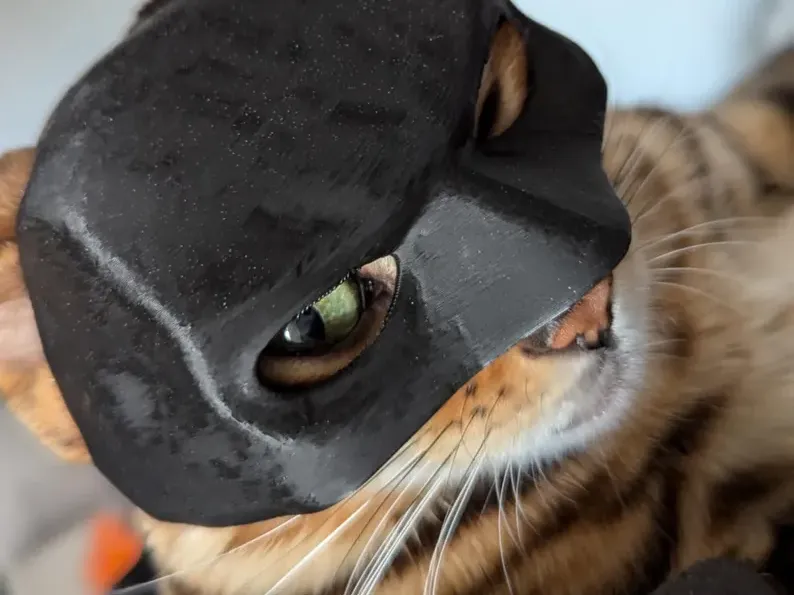 Batcat Mask / CatMan The Dark Meow Cat Bat Mask