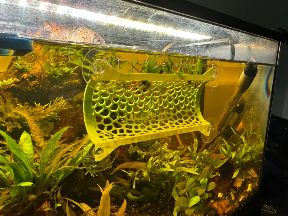 Betta Fish Tunnel Tank Mountable, photo 3 of 4 - Betta Fish Tunnel Tank Mountable Pets