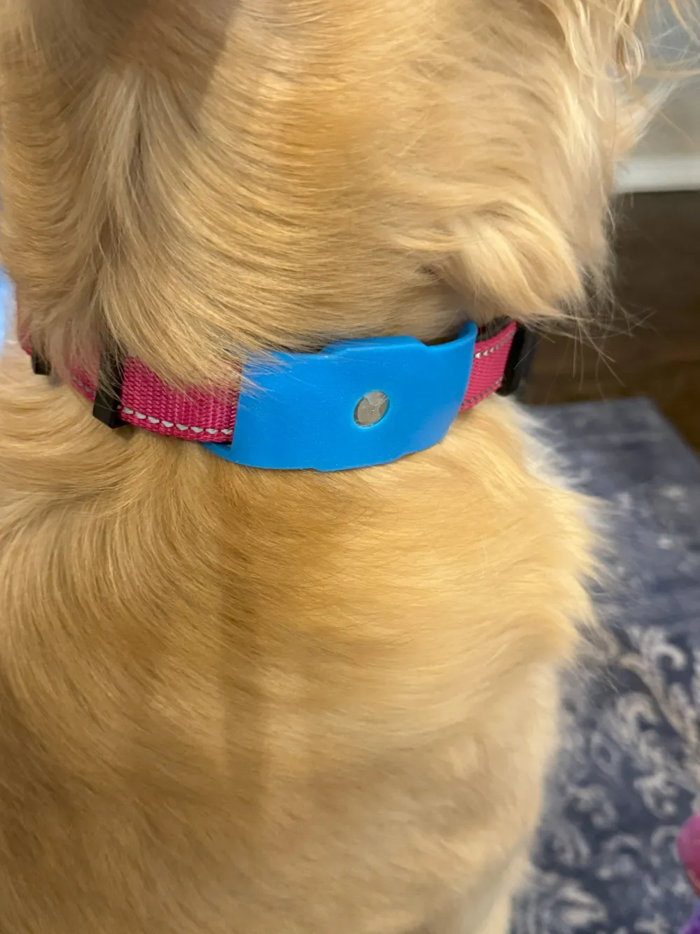 Betterer Dog Collar AirTag Holder, another view - Collar Tags & Name Tags, pets