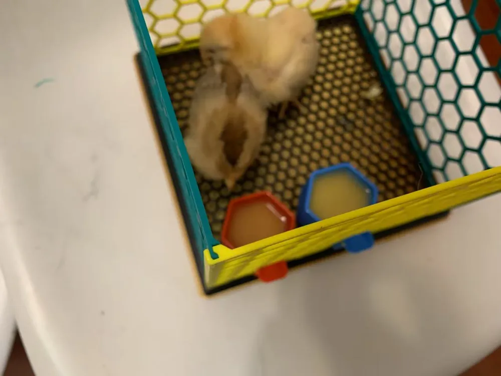 Bird Cage, photo 4 of 4 - Bird Cage Pets