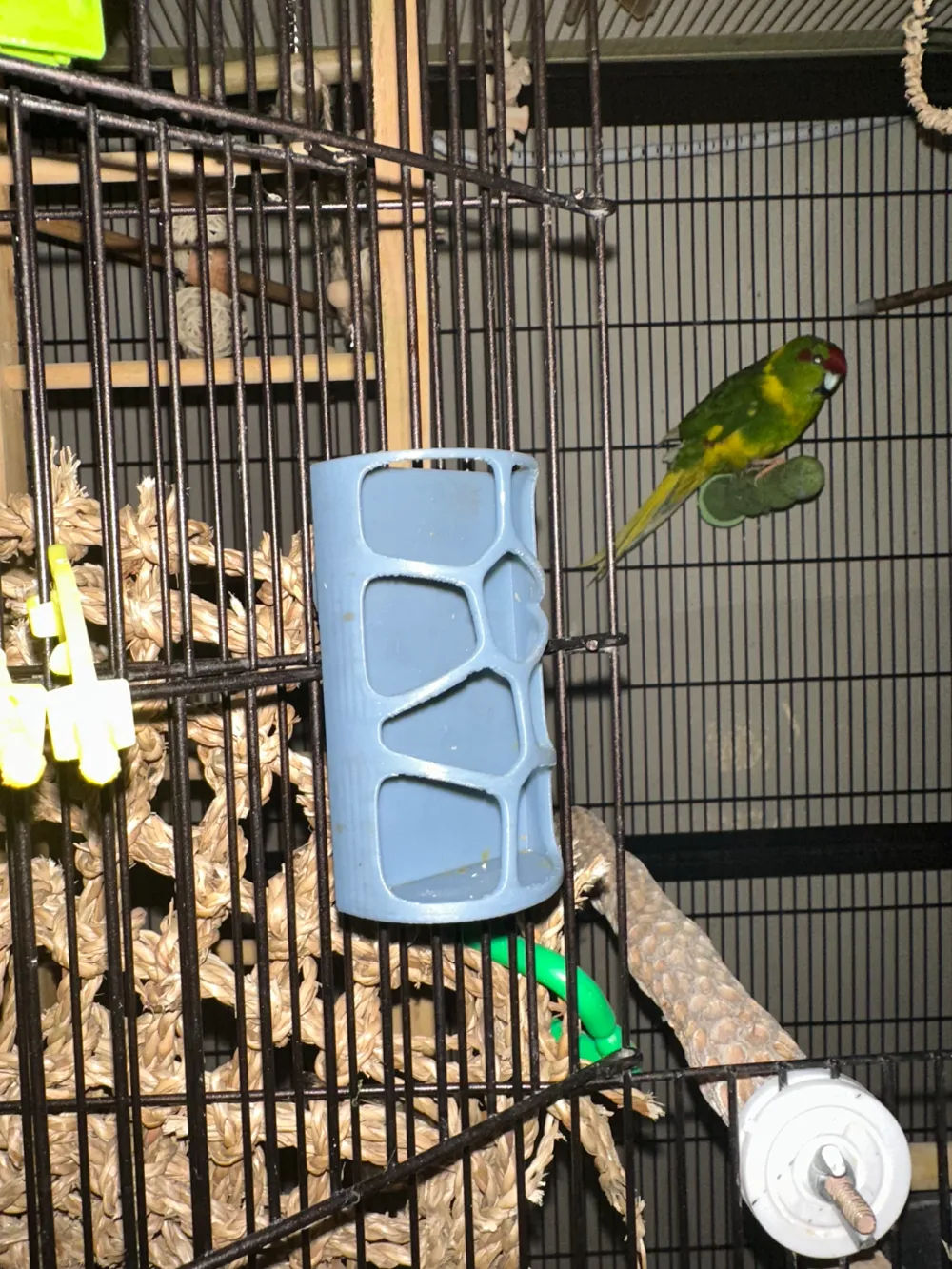 Bird Cage feeder., photo 2 of 4 - Bird Cage feeder. Pets