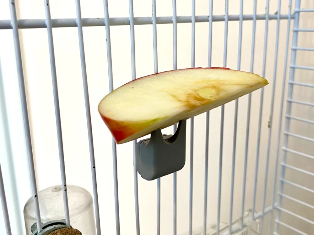 Bird Cage, Fruit and vegetable holder