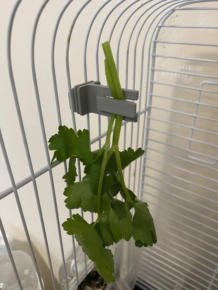 Bird cage - Millet Spray holder, photo 3 of 4 - Bird cage - Millet Spray holder Pets