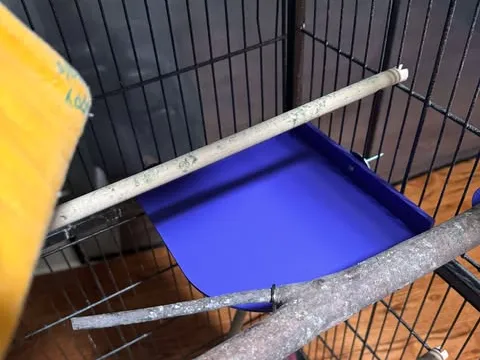 Bird Cage Square Corner Platform, photo 4 of 4 - Bird Cage Square Corner Platform Pets
