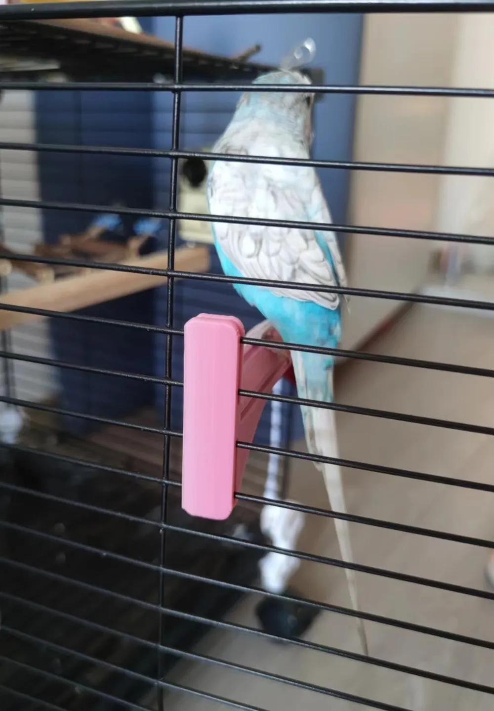 Bird cage stand holder, photo 2 of 4 - Bird Toys, Perches & Swings, pet