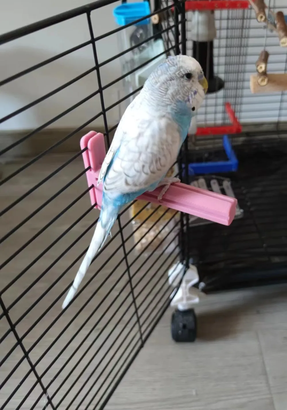 Bird cage stand holder, photo 3 of 4 - Bird Toys, Perches & Swings, pet