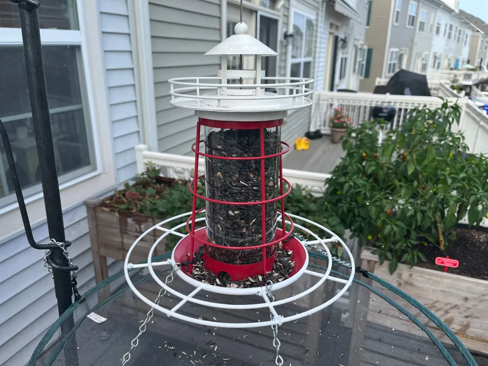 Bird Feeder Perch Ring - Garden, in stock in India
