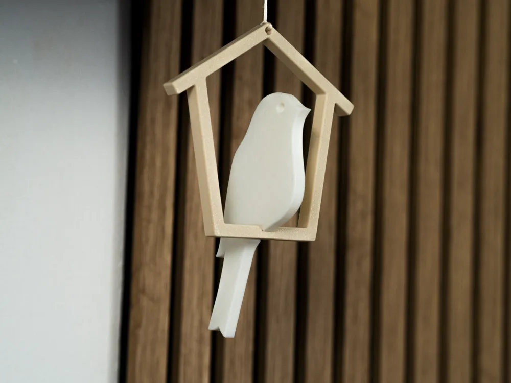 Bird in the house