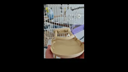 Bird stand, photo 2 of 4 - Bird Toys, Perches & Swings, budgie