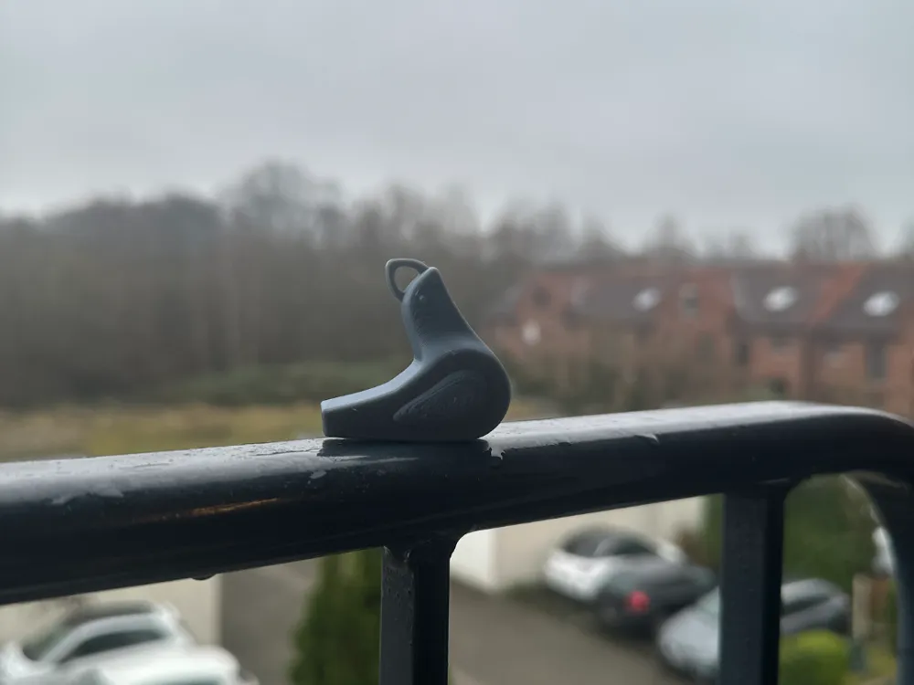 Bird Whistle